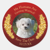 Uw huisdierfoto, Bewaar de datum, Gouden bloemen b Ronde Sticker (Voorkant)