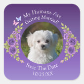 Uw huisdierfoto, bewaar de datum, paarse mauve blo vierkante sticker (Voorkant)