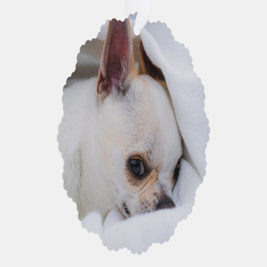 Uw huisdierhond aangepaste foto Chihuahua-herdenki Ornament Kaart (Rechts)