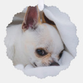 Uw huisdierhond aangepaste foto Chihuahua-herdenki Ornament Kaart (Voorkant)