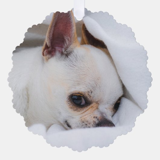 Uw huisdierhond aangepaste foto Chihuahua-herdenki Ornament Kaart (Voorkant)