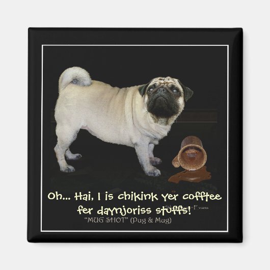 "Uw koffie controleren..." leuke Magneten (Voorkant)