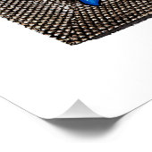 Uw Lungs Medical Illustratie, Berry Popsicle Perfect Poster (Hoek)