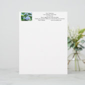 Uw Naam Briefhoofd Adres Telefoon Hydrangea's (Staand voorkant)