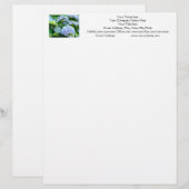 Uw Naam Briefhoofd Adres Telefoon Hydrangea's (Voorkant / Achterkant)