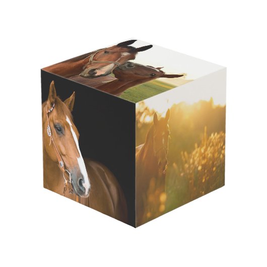Uw Paardenportret Memorial Photo Cube Kubus (Voorkant hoekig)