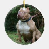 UW PET Memorial Foto 2 Sides Keramisch Ornament (Achterkant)