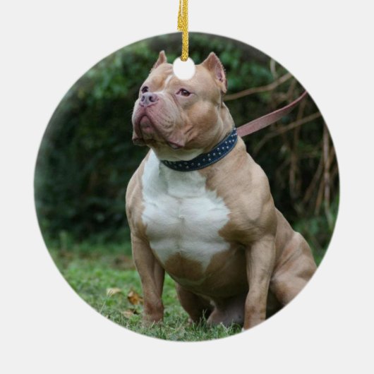 UW PET Memorial Foto 2 Sides Keramisch Ornament (Achterkant)