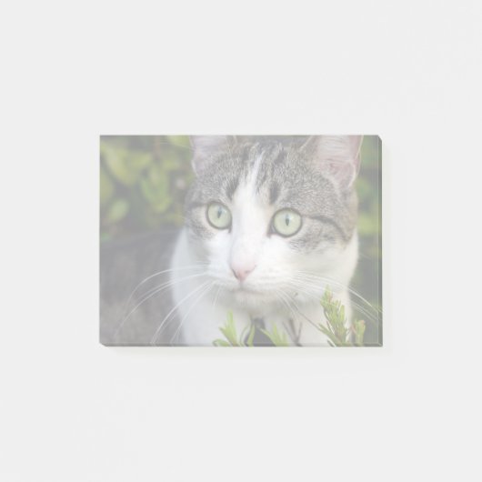 Uw Pet Photo Gift Gepersonaliseerde Post It Notes  (Voorkant)