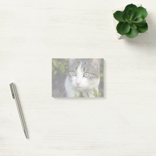 Uw Pet Photo Gift Gepersonaliseerde Post It Notes  (Kantoor)