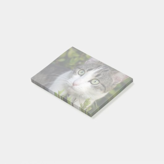 Uw Pet Photo Gift Gepersonaliseerde Post It Notes  (Schuin)