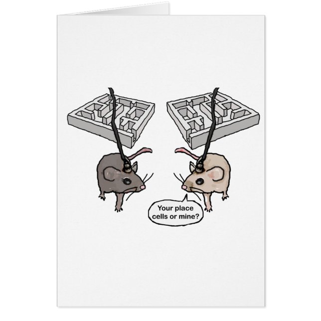 Uw plaats (cellen) of mijn? (Voorkant)