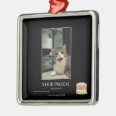 Uw Prozac Metalen Ornament (Links)