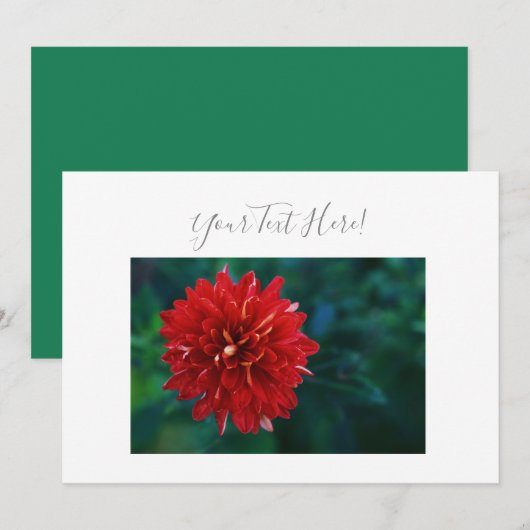 Uw tekst prachtige rode dahlia bloem uitnodiging (Voorkant / Achterkant)
