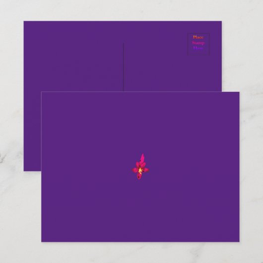 Uw vakantie in uw zak briefkaart (Voorkant / Achterkant)