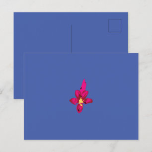 Uw vakantie in uw zak briefkaart