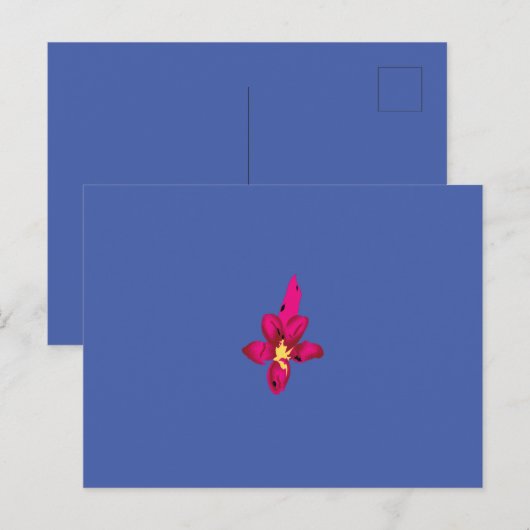 Uw vakantie in uw zak briefkaart (Voorkant / Achterkant)