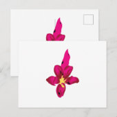 Uw vakantie in uw zak briefkaart (Voorkant / Achterkant)