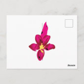 Uw vakantie in uw zak briefkaart (Achterkant)