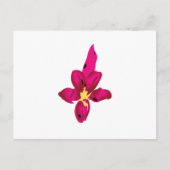 Uw vakantie in uw zak briefkaart (Voorkant)