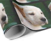 Uw vierkant foto vervangt de gele labfoto cadeaupapier (Rol Hoek)