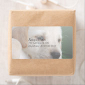 Uw vierkante Afbeelding vervangt Yellow Lab Puppy Etiket (Insitu)
