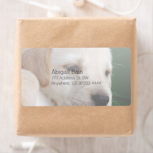 Uw vierkante Afbeelding vervangt Yellow Lab Puppy Etiket (Insitu)