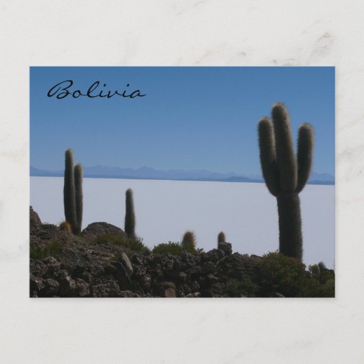 uyuni cacti - bolivia briefkaart (Voorkant)