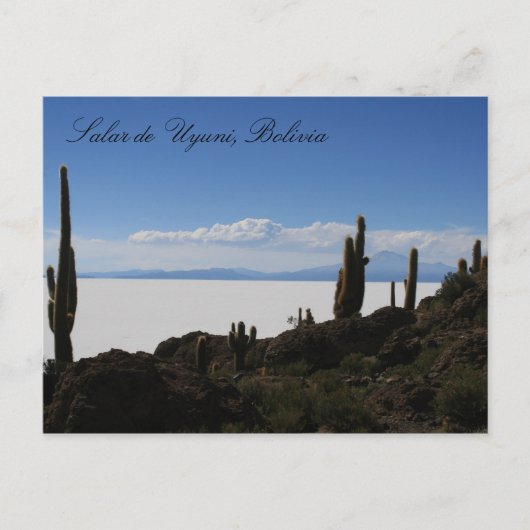 uyuni cacti briefkaart (Voorkant)