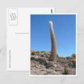 Uyuni cactussen omhoog briefkaart (Voorkant / Achterkant)