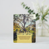 V1 Najaarkleuren - Boom - Hartelijk dank Kaart (Staand voorkant)