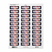V838 Monocerotis Star (Hubble Telescope) Etiket (Full Sheet)