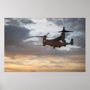 V-22 visarend poster