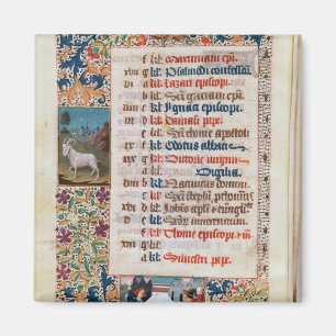 V.25-3 Fol.12v De maand december Magneet