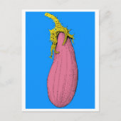 v briefkaart (Voorkant)