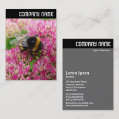 V Header - Hommels op Sedum Visitekaartje (Voorkant / Achterkant)