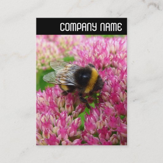 V Header - Hommels op Sedum Visitekaartje (Voorkant)