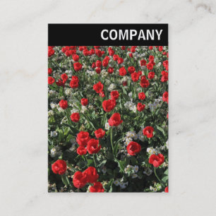V Header - Rode Tulpen en Sleutelbloemen Visitekaartje
