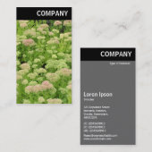 V Header - Sedum (Herfstvreugd) Visitekaartje (Voorkant / Achterkant)
