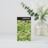 V Header - Sedum (Herfstvreugd) Visitekaartje (Staand voorkant)