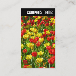 V Header - Zee van Tulpen III Visitekaartje