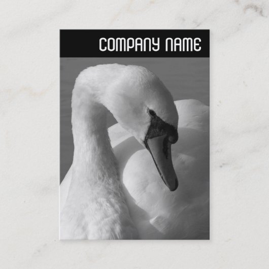 V Header - Zwaan B&W Visitekaartje (Voorkant)