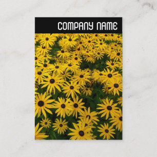 V Header - Zwarteogige Susans (Rudbeckia Hirta) Visitekaartje