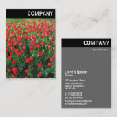 V-koptekst - Bed of Red Tulips 01 Visitekaartje (Voorkant / Achterkant)