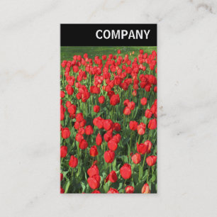 V-koptekst - Bed of Red Tulips 02 Visitekaartje
