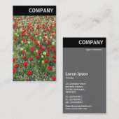V-koptekst - Bed van Tulpen Visitekaartje (Voorkant / Achterkant)