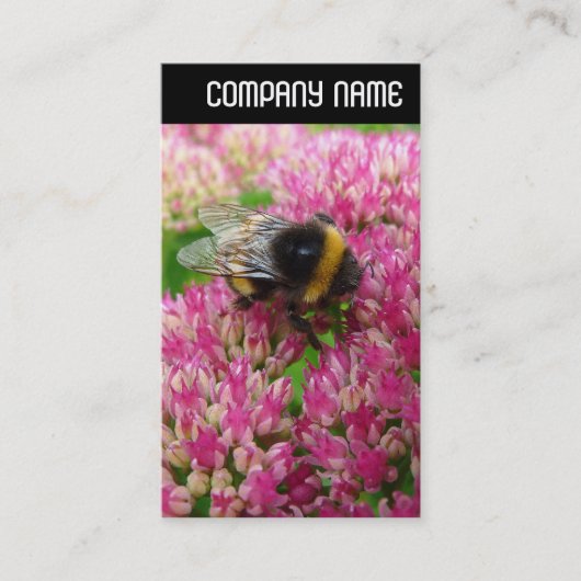 V-koptekst - Bumble Bee Sedum Visitekaartje (Voorkant)