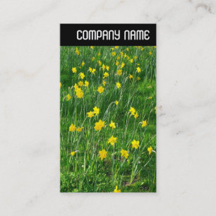 V-koptekst - Daffodils/Narcissus Visitekaartje