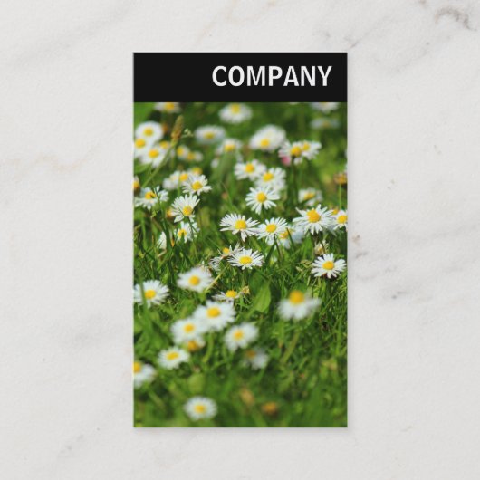 V-koptekst - Daisy Meadow Visitekaartje (Voorkant)