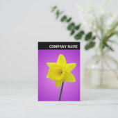 V-koptekst - Foto - Daffodil Visitekaartje (Staand voorkant)